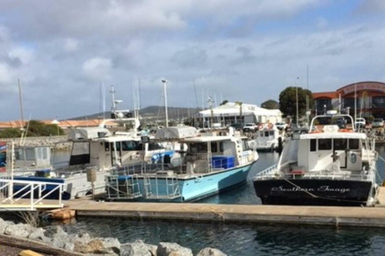 Shark 2 * Port Lincoln